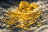 What is Pixiu? Meaning, Legend & Spiritual Power - Buddha Tibet