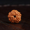 Indonesian Rudraksha 108-Bead Mala — Highland Seed Bracelet & Necklace for Daily Practice Buddha Tibet