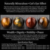 Colorful Tiger Eye Bracelet — Polished Beads in Multiple Sizes for Balance & Focus - Buddha Tibet xd0006601