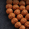 Indonesian Rudraksha 108-Bead Mala — Highland Seed Bracelet & Necklace for Daily Practice Buddha Tibet